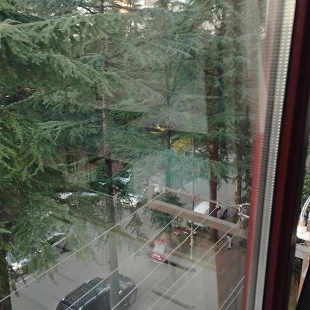 Apartment Ge Zvezda Batumi Zewnętrze zdjęcie